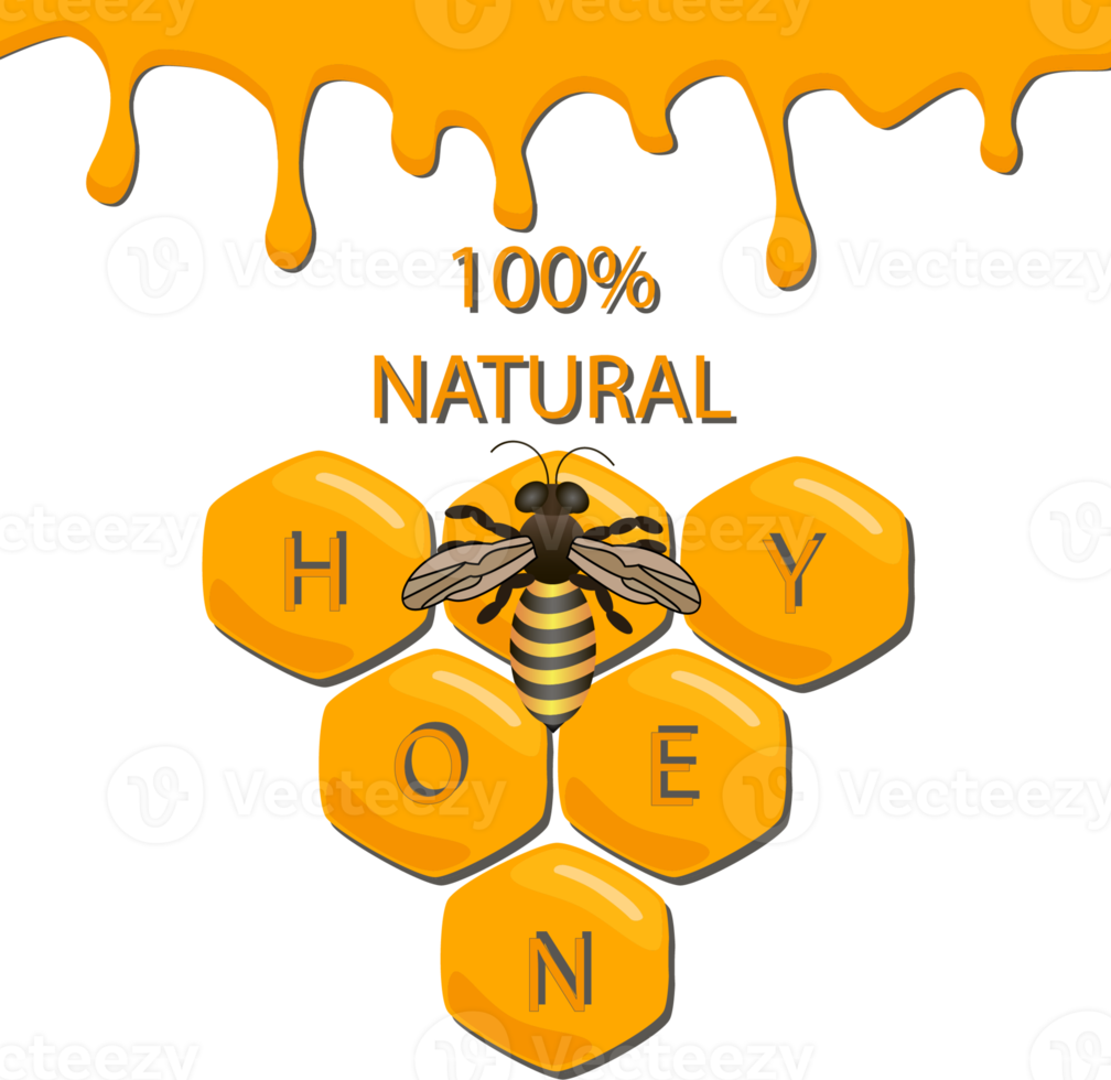 Various sweet tasty natural honey from honeycomb png