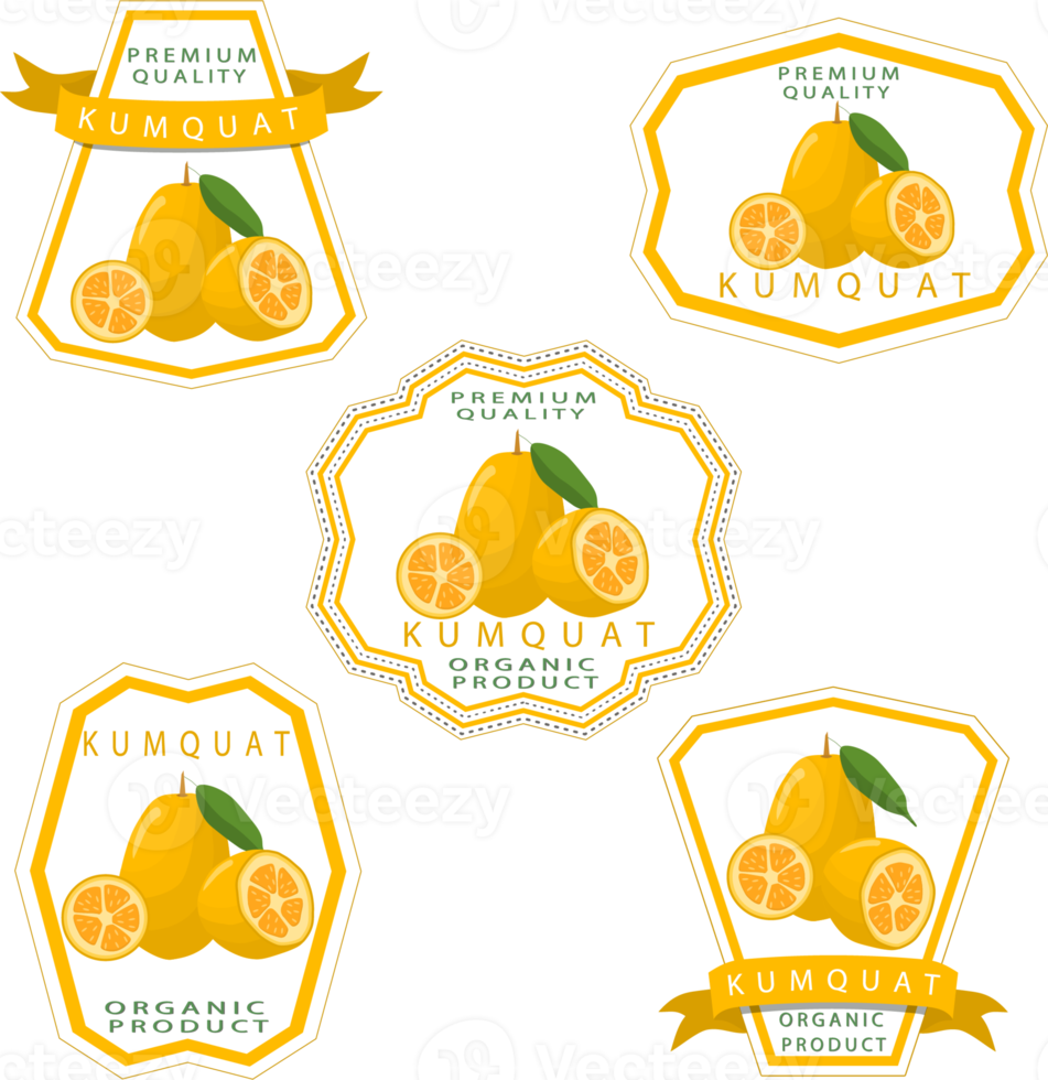 Sweet juicy tasty natural eco product kumquat png