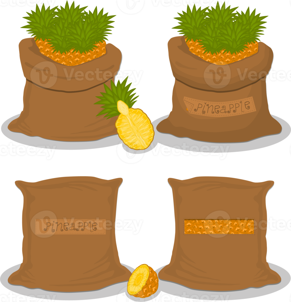 Set of big bags with natural product food 18137582 PNG