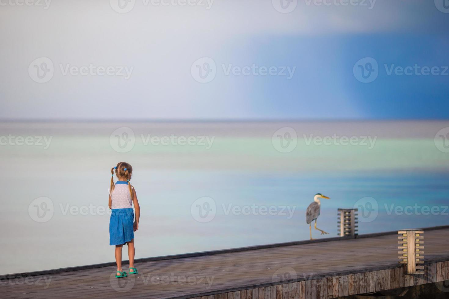 Adorable happy little girl with Grey heron on beach vacation photo