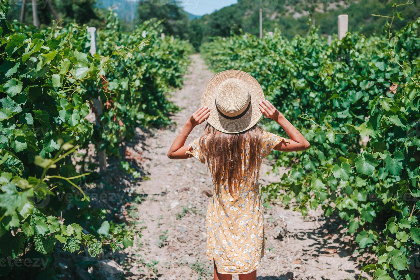 Woman in the vineyard in sun day photo