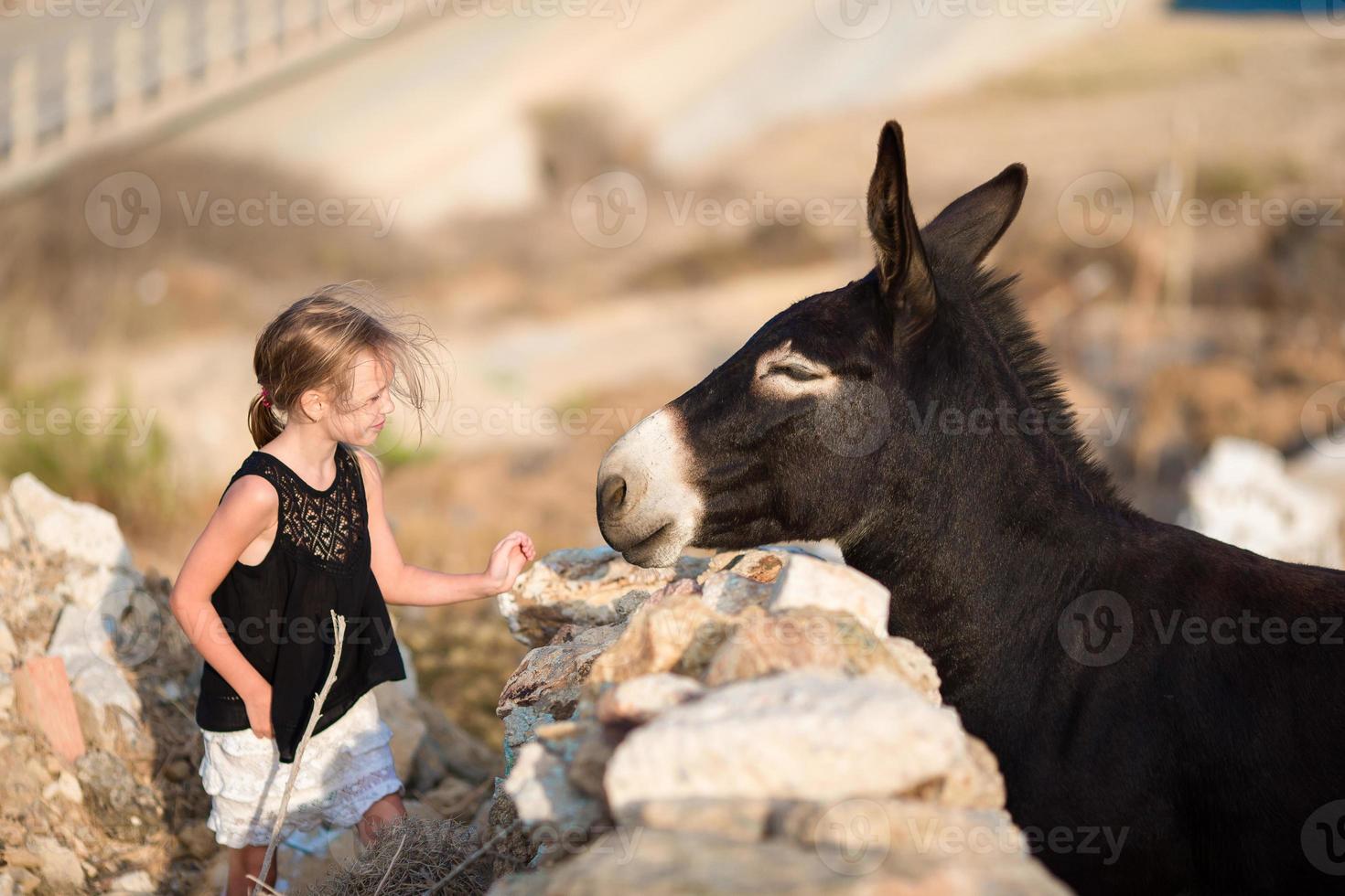 Little adorable girl with donkey on Mykonos photo