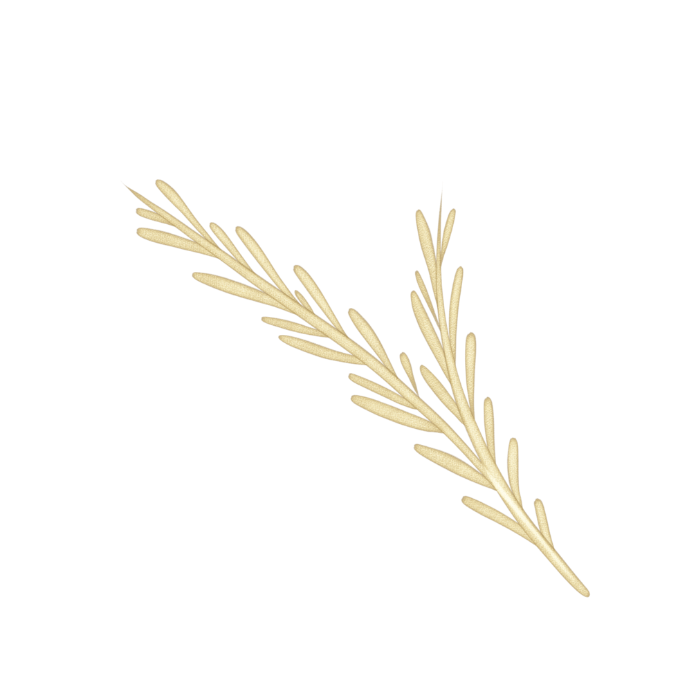 Golden elegant branch. Outline Gold leaves for wedding, holidays, invitation, greeting card decoration png