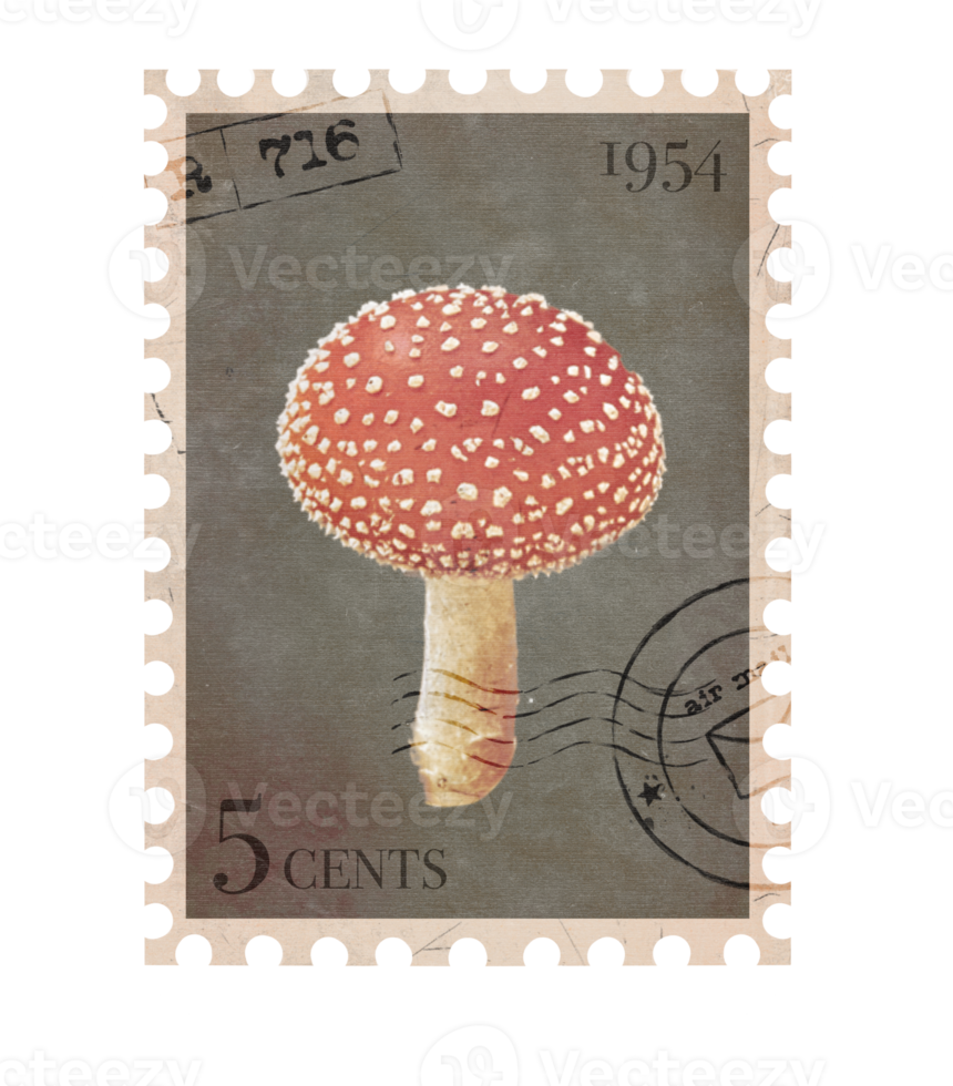 Vintage Postage Stamp with red mushroom. Retro Printable post stamp. Aesthetic cutout Scrapbooking elements for notebooks, journals, greeting cards, wrapping paper png