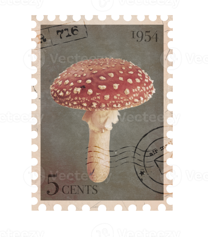 Vintage Postage Stamp with red mushroom. Retro Printable post stamp. Aesthetic cutout Scrapbooking elements for notebooks, journals, greeting cards, wrapping paper png