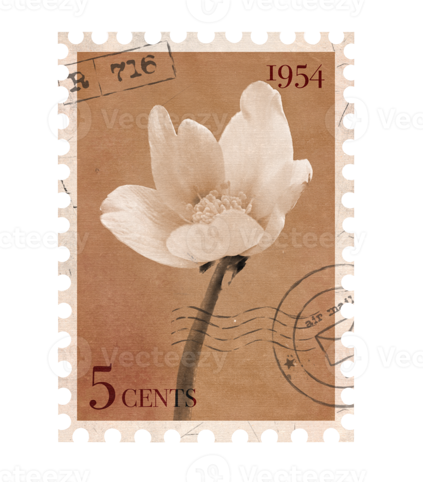 Floral vintage Postage Stamp. Retro Printable post stamp with flowers. Aesthetic cutout Scrapbooking elements for wedding invitations, notebooks, journals, greeting cards, wrapping paper png