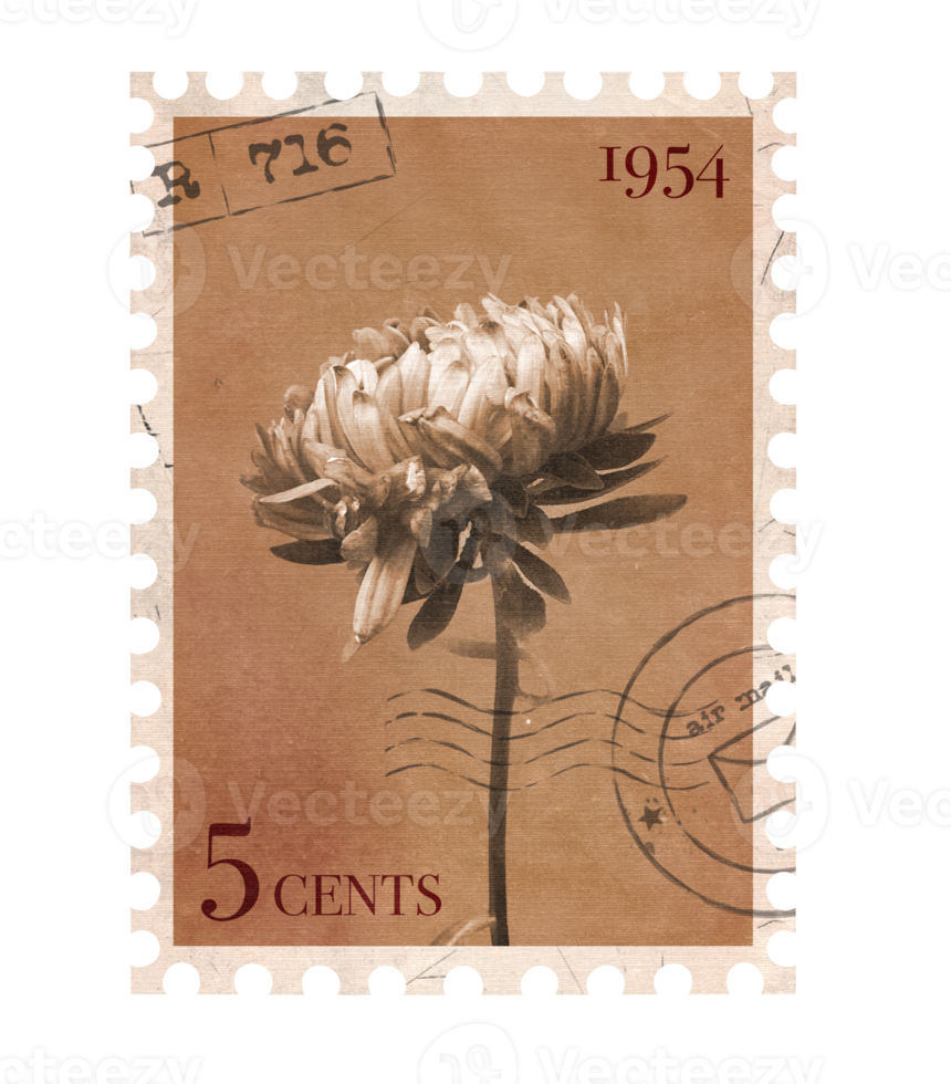 Floral vintage Postage Stamp. Retro Printable post stamp with flowers. Aesthetic cutout Scrapbooking elements for wedding invitations, notebooks, journals, greeting cards, wrapping paper png