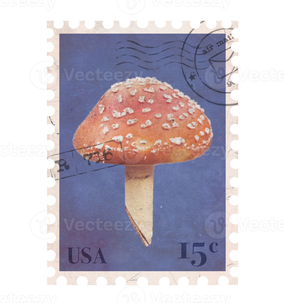 Vintage Postage Stamp with red mushroom. Retro Printable post stamp. Aesthetic cutout Scrapbooking elements for notebooks, journals, greeting cards, wrapping paper png