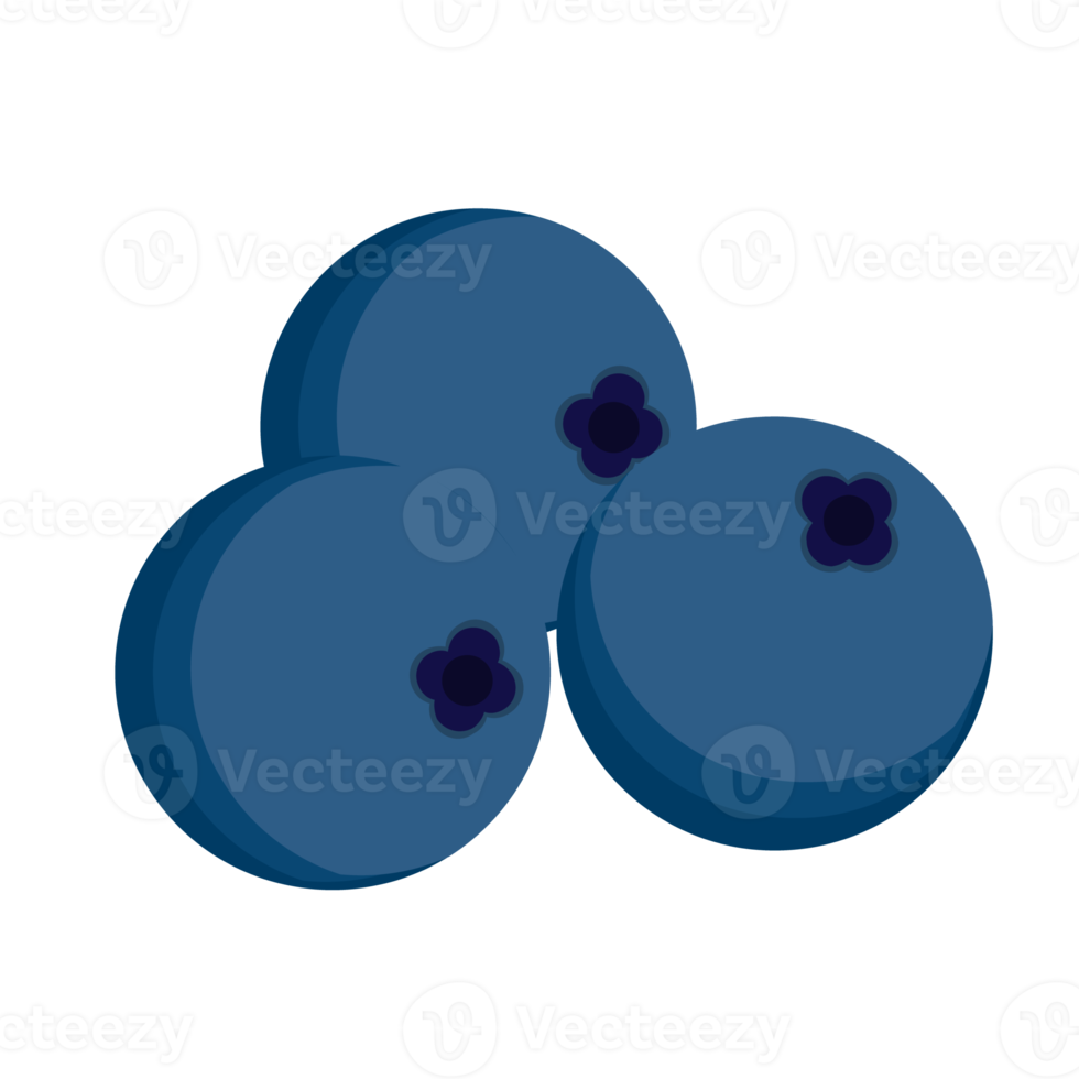 illustration d'icône de fruit de myrtille png