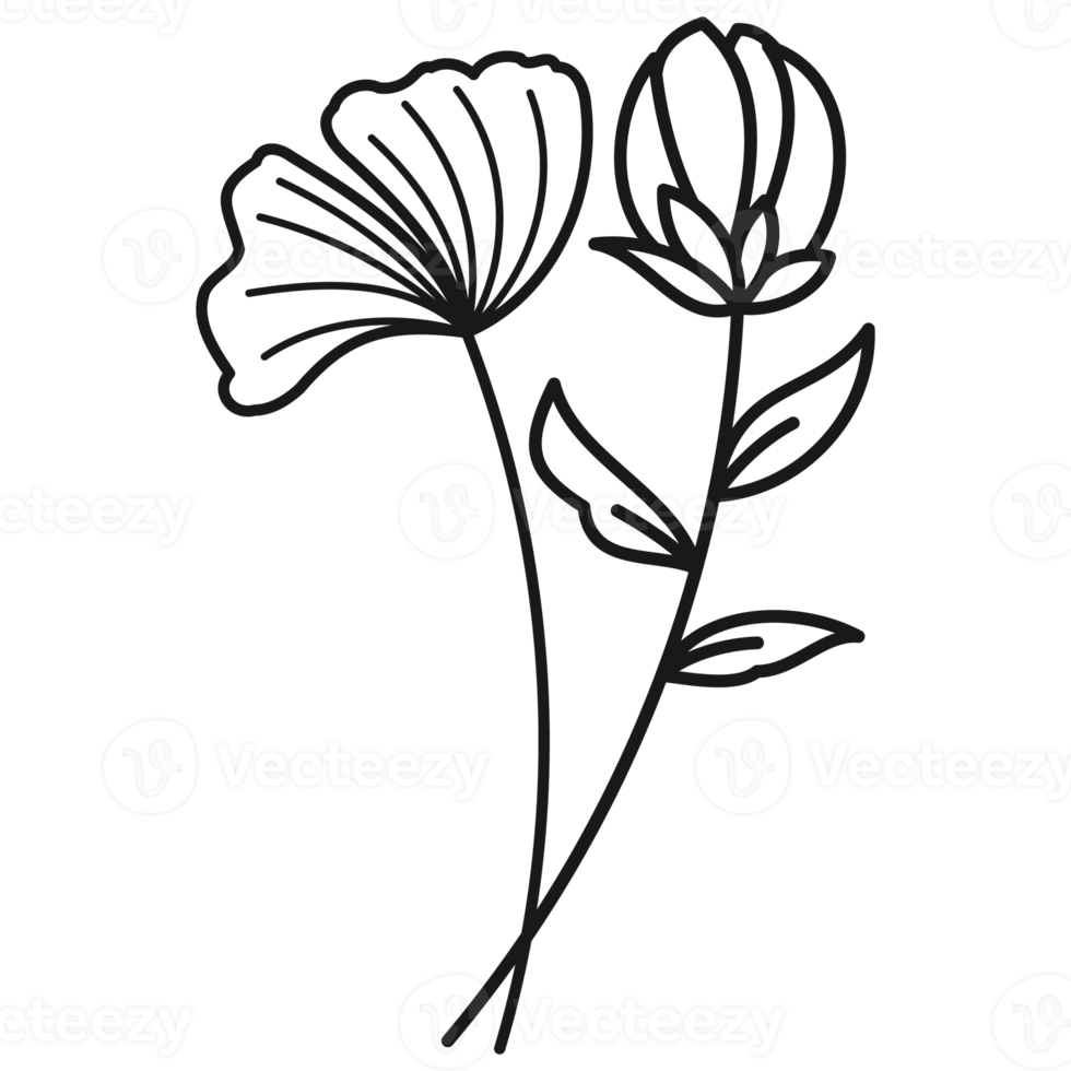 Floral branch hand drawn with leaves and flowers png