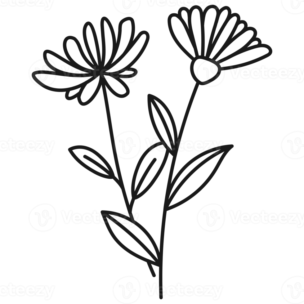 Floral branch hand drawn with leaves and flowers png