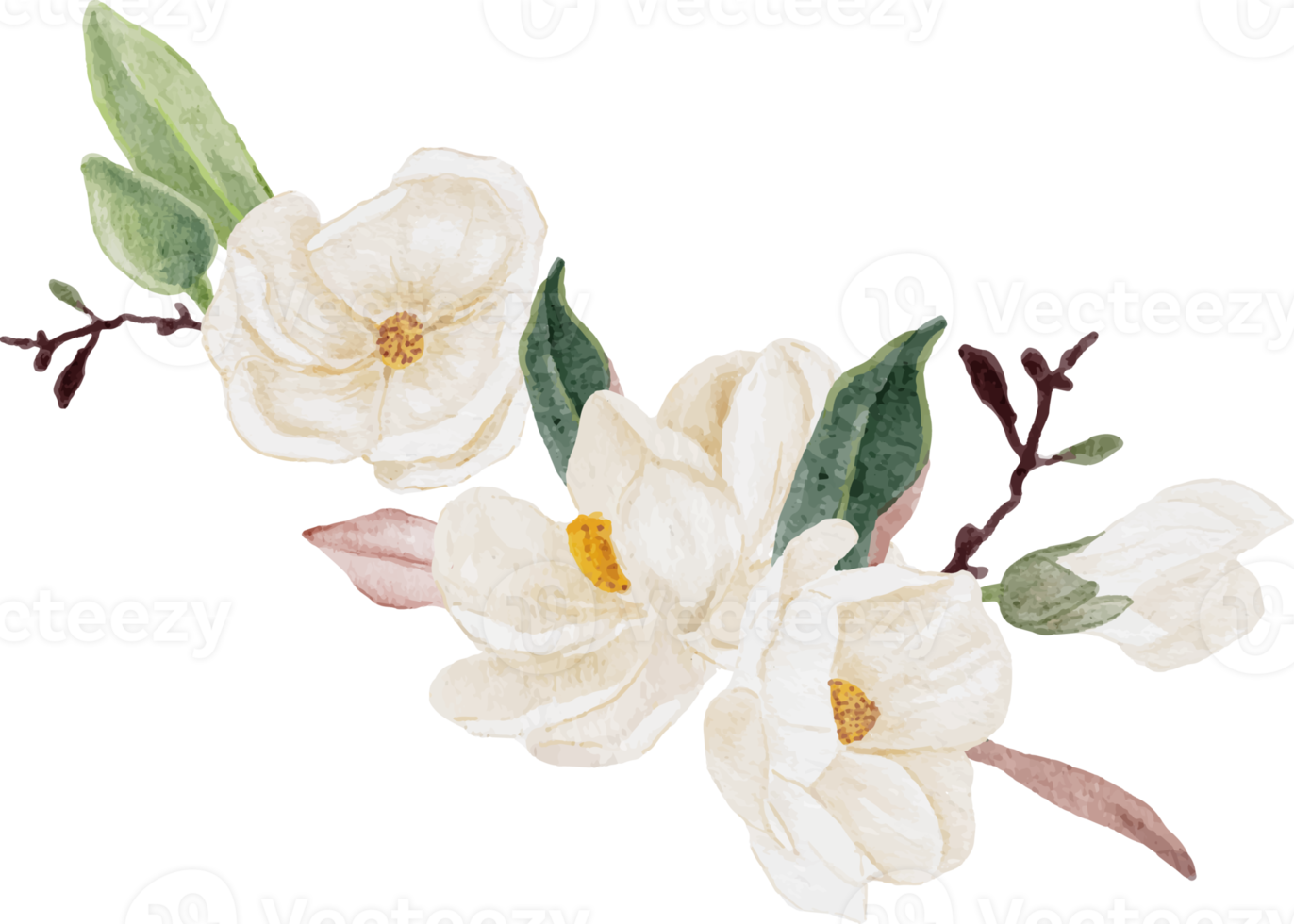 watercolor white magnolia flower and leaf bouquet clipart 18249961 PNG