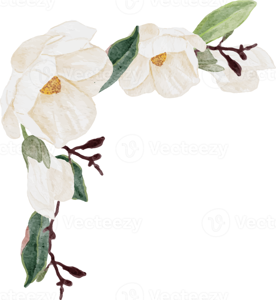 waterverf wit magnolia bloem en blad boeket clip art png