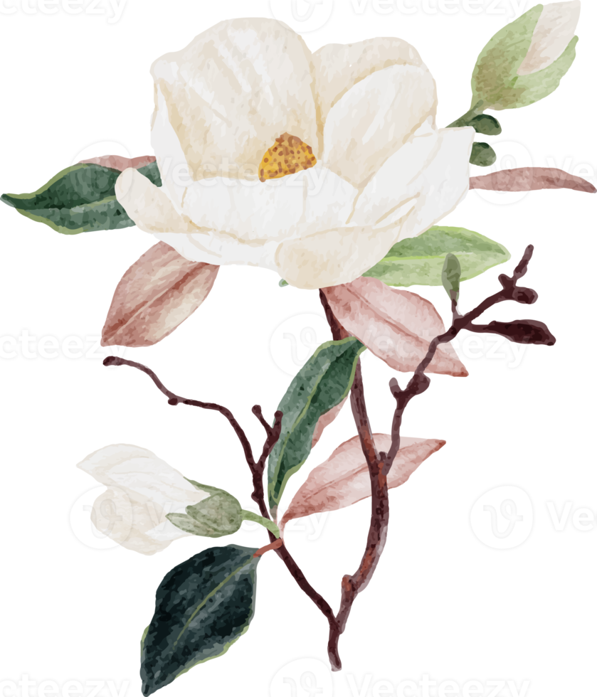 watercolor white magnolia flower and leaf bouquet clipart png