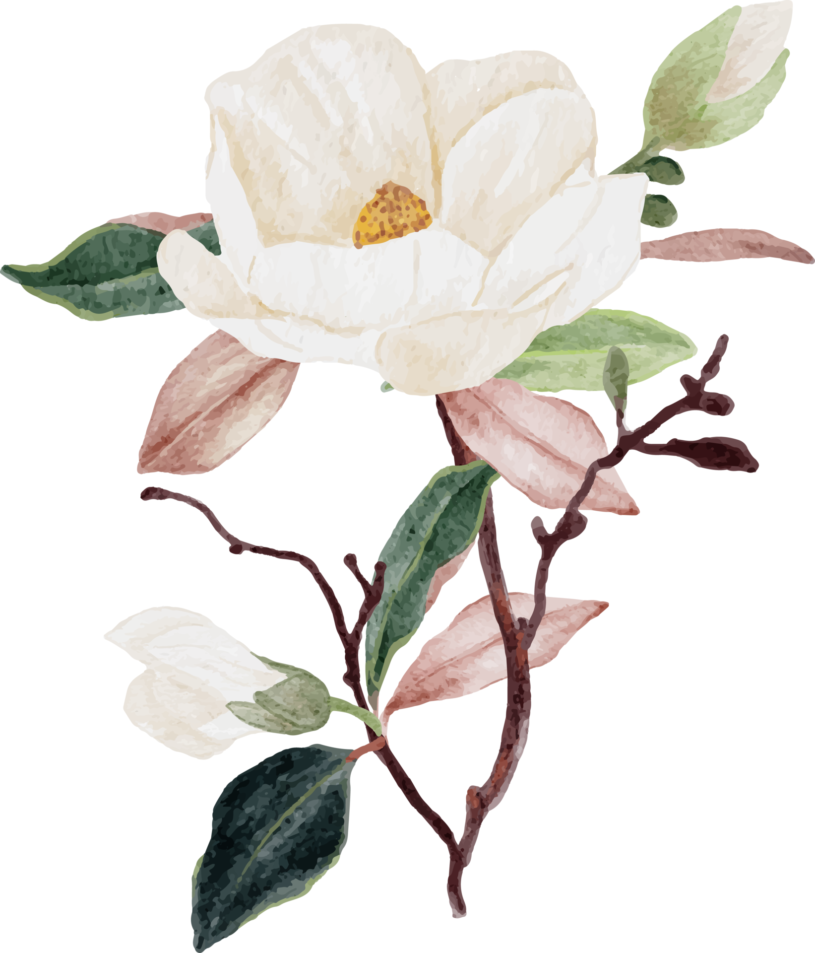 watercolor white magnolia flower and leaf bouquet clipart 18249969 PNG