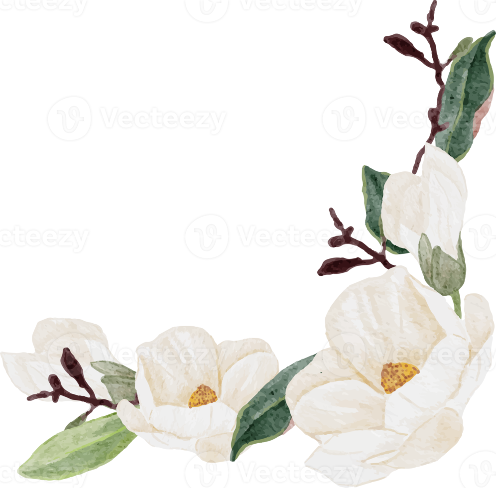 watercolor white magnolia flower and leaf bouquet clipart png