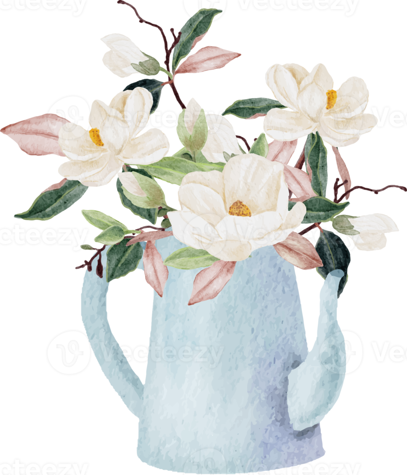 watercolor white magnolia flower and leaf bouquet clipart png