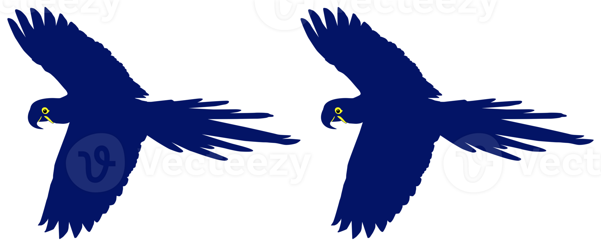 Fliegender Ara-Vogelschattenbild für Logo, Piktogramm, Kunstillustration, Website oder Grafikdesignelement. PNG-Format png