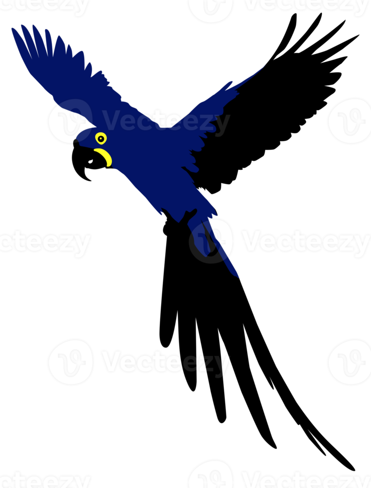 Flying Macaw Bird Silhouette for Logo, Pictogram, Art Illustration, Website or Graphic Design Element. Format PNG