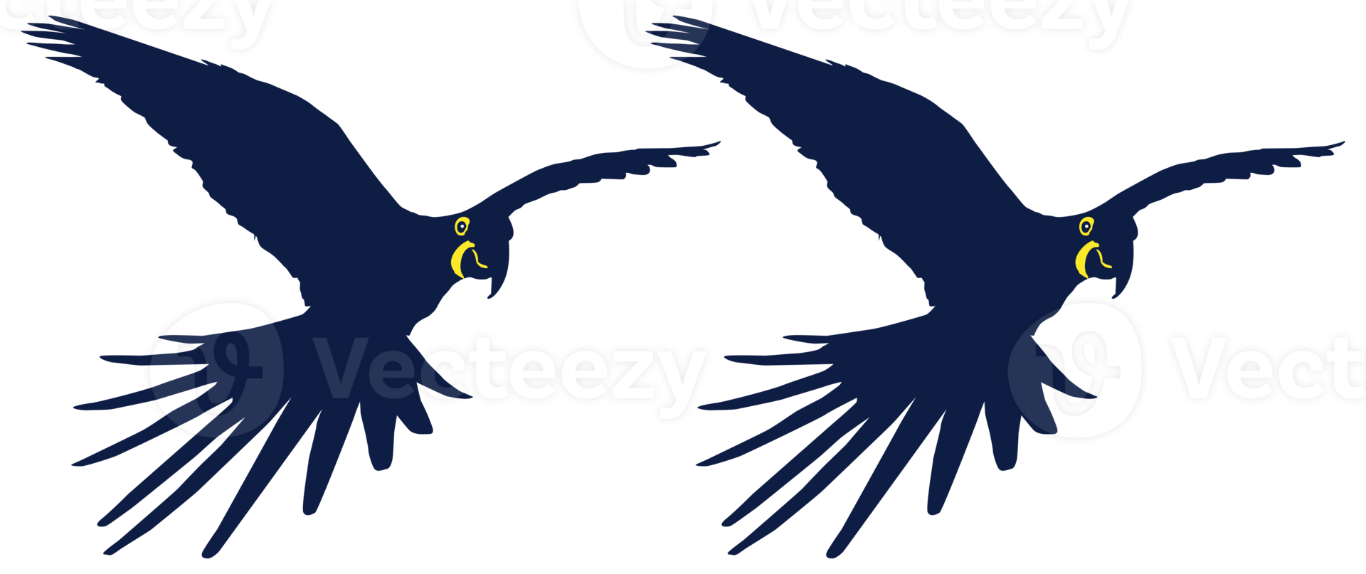 silueta de pájaro guacamayo volador para logotipo, pictograma, ilustración de arte, sitio web o elemento de diseño gráfico. formato png