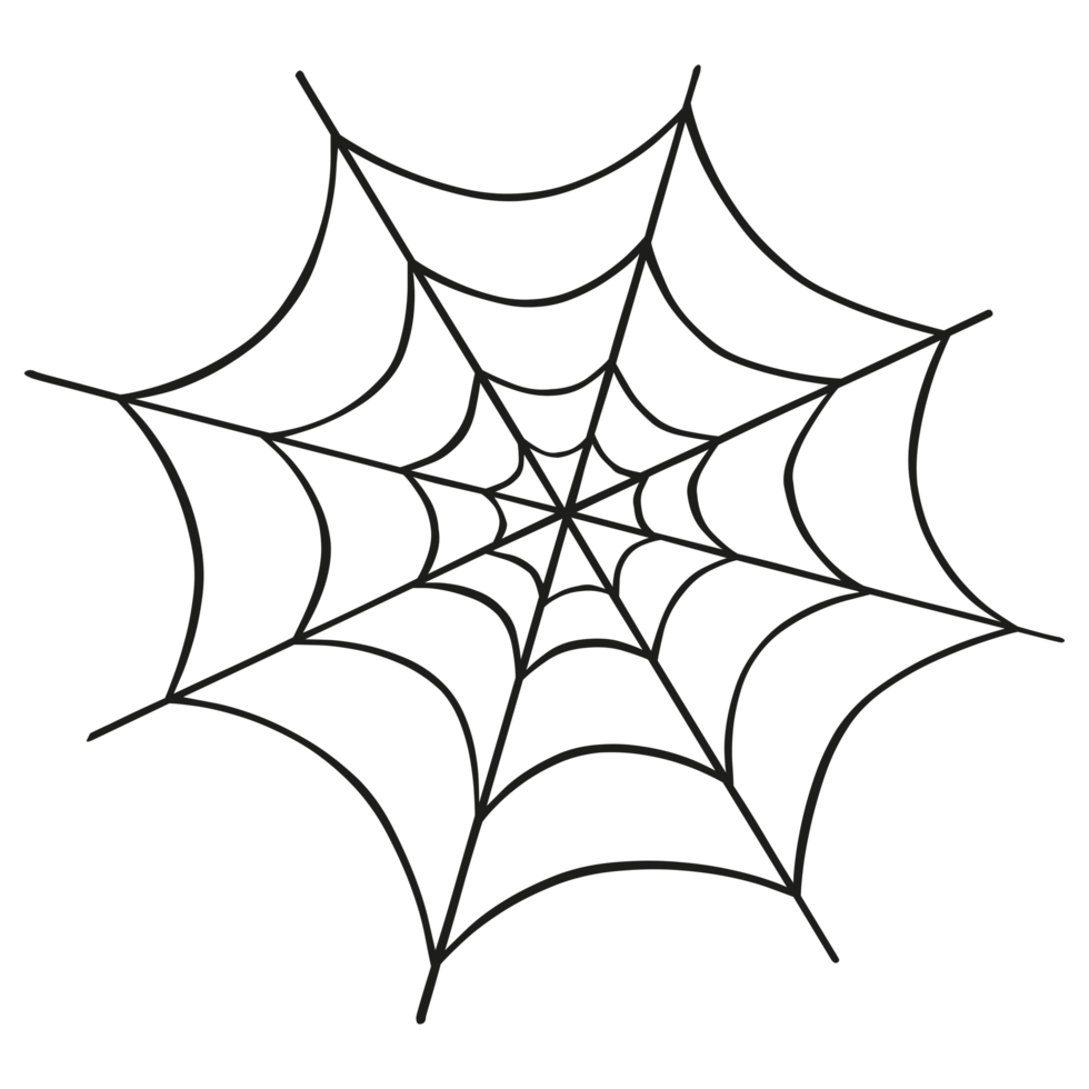 Hand Drawn Spider web on Transparent background 18251092 PNG