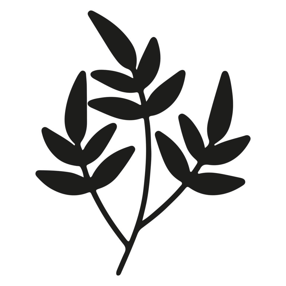 Abstract floral element shape on Transparent Background png