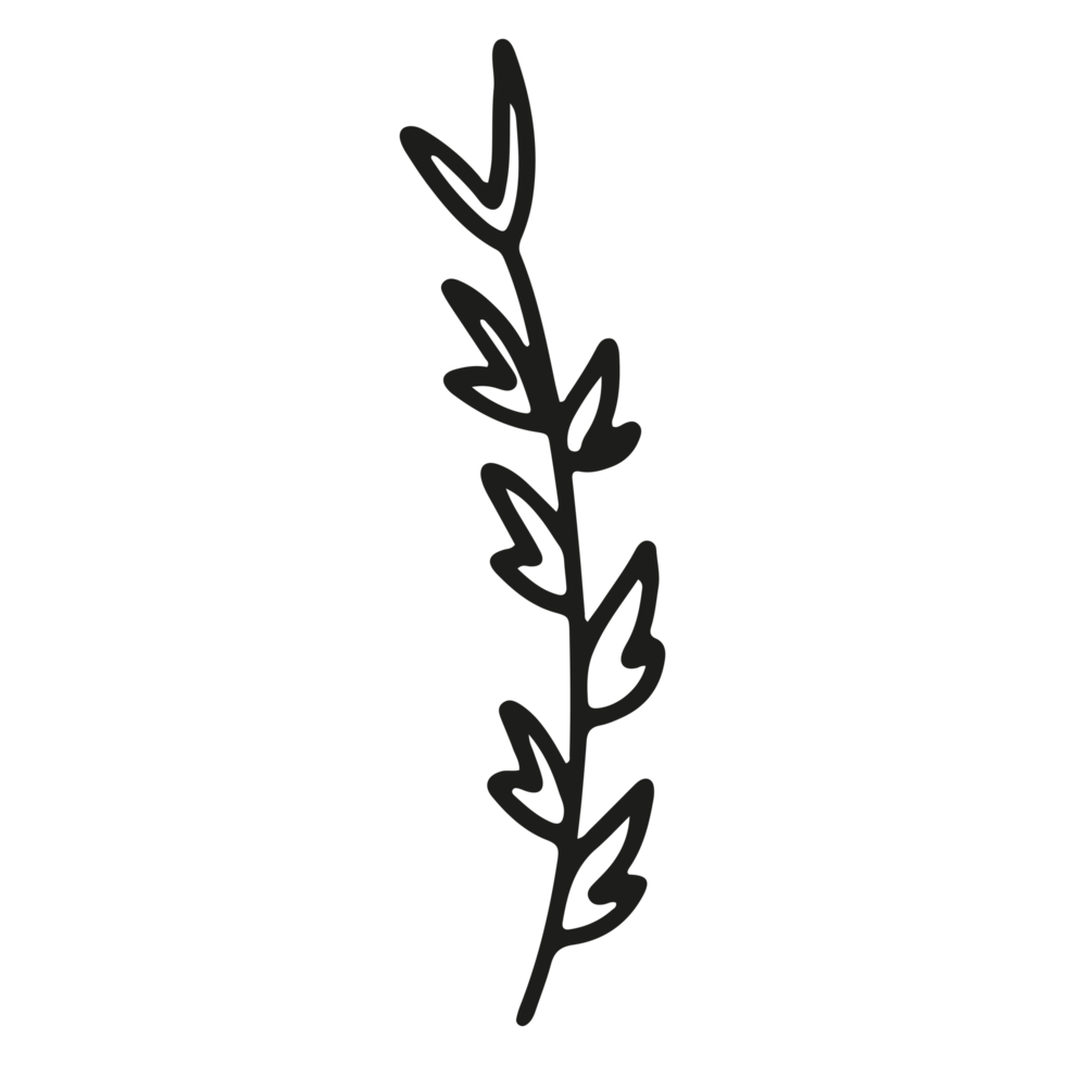 Abstract floral element shape on Transparent Background png
