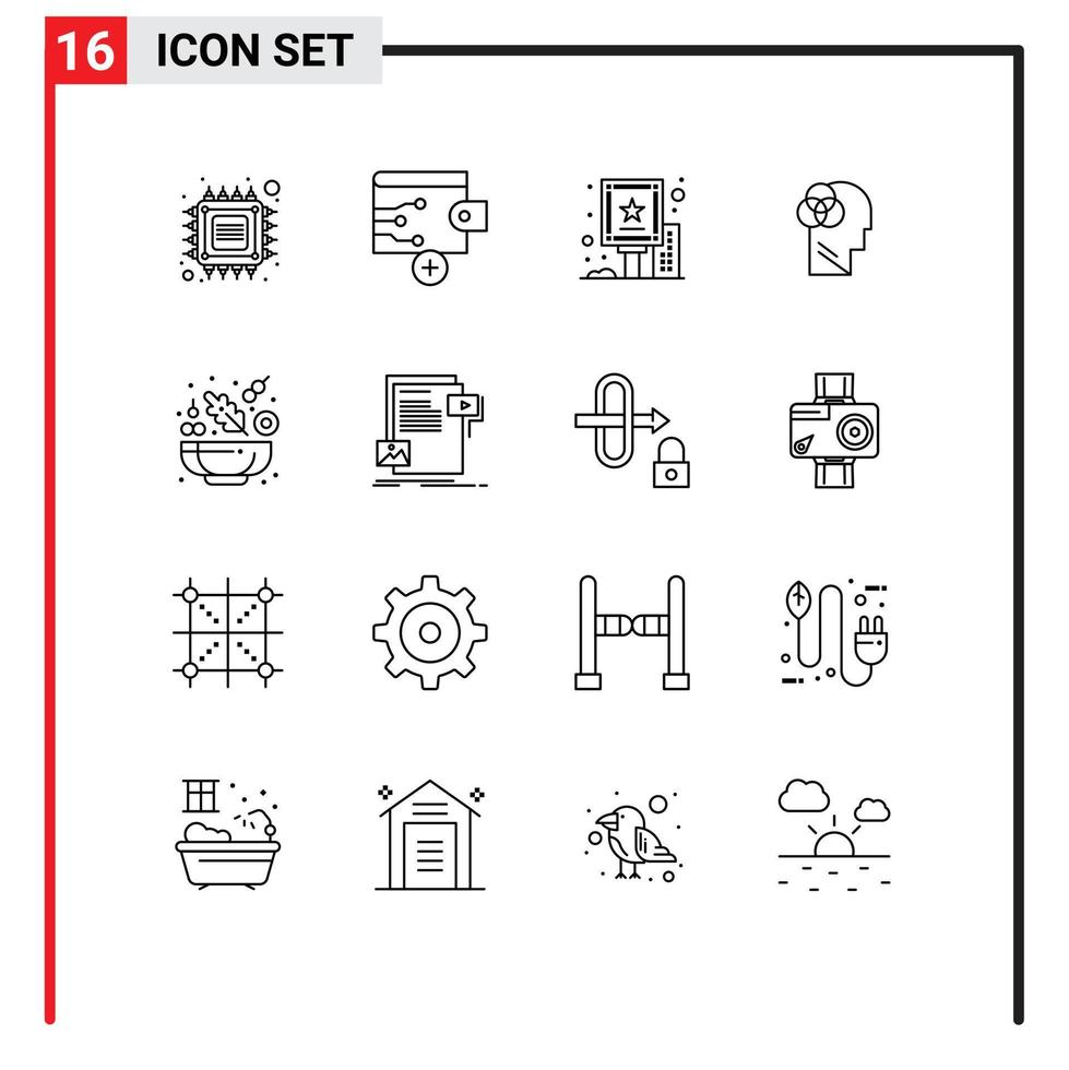 Set of 16 Vector Outlines on Grid for lettuce head advertisement intelligent human intelligence Editable Vector Design Elements