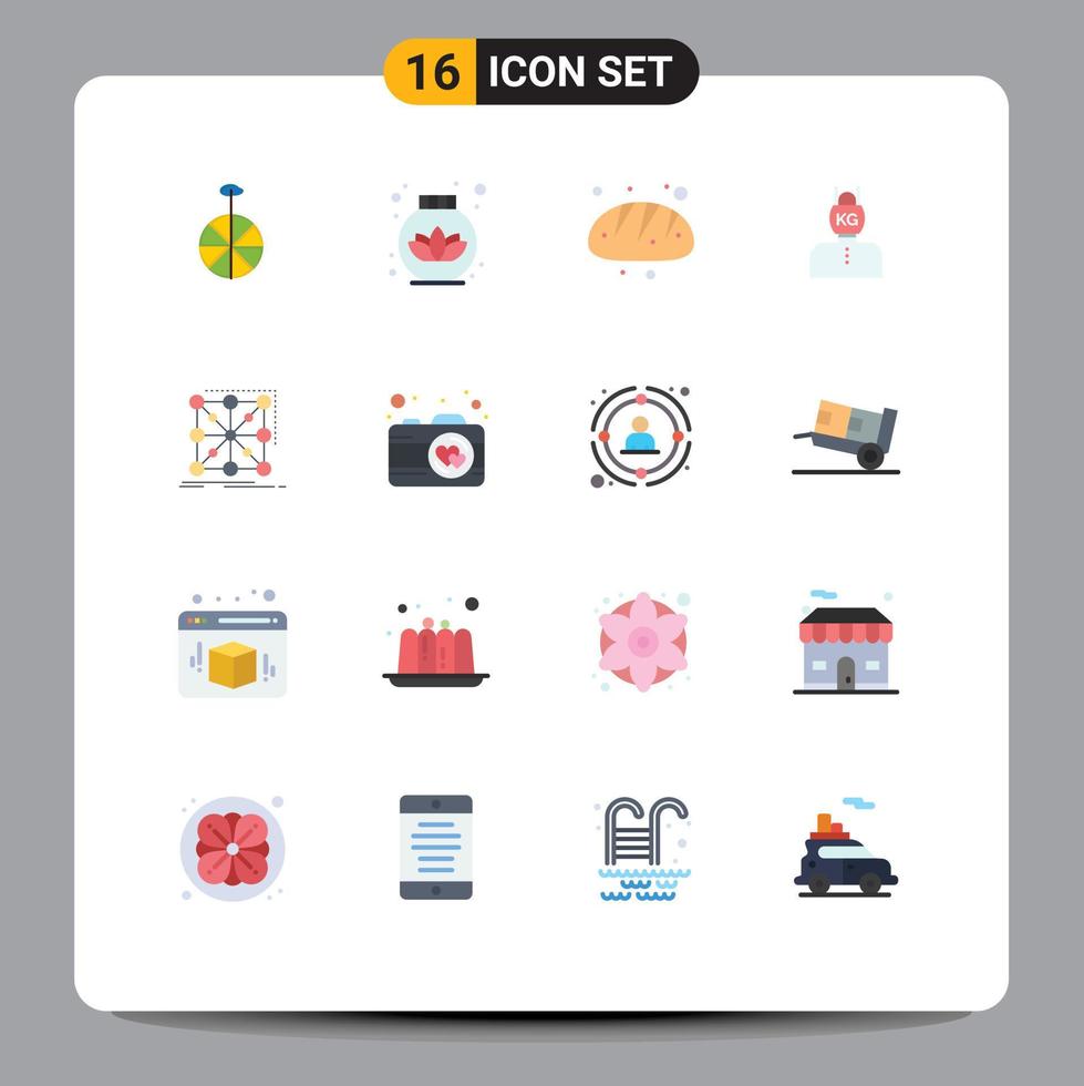 Modern Set of 16 Flat Colors and symbols such as app data bread weight problem Editable Pack of Creative Vector Design Elements
