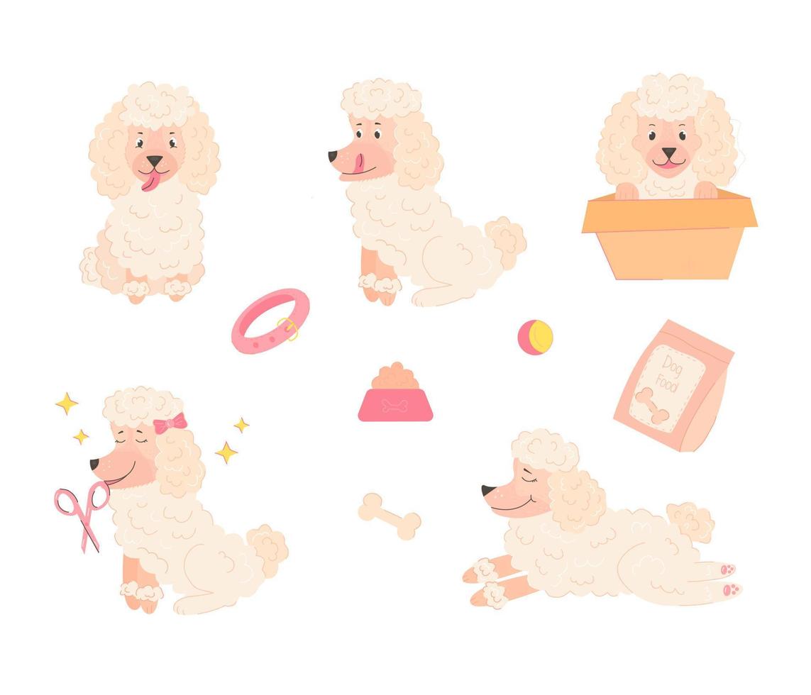 conjunto de caniche blanco con diferentes emociones y poses y juguetes para perros en un fondo aislado vector