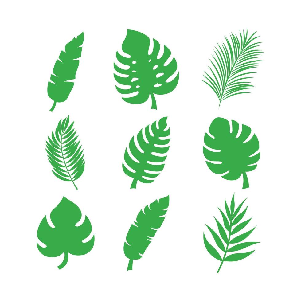 conjunto de ilustración de vector de hojas tropicales de verano verde