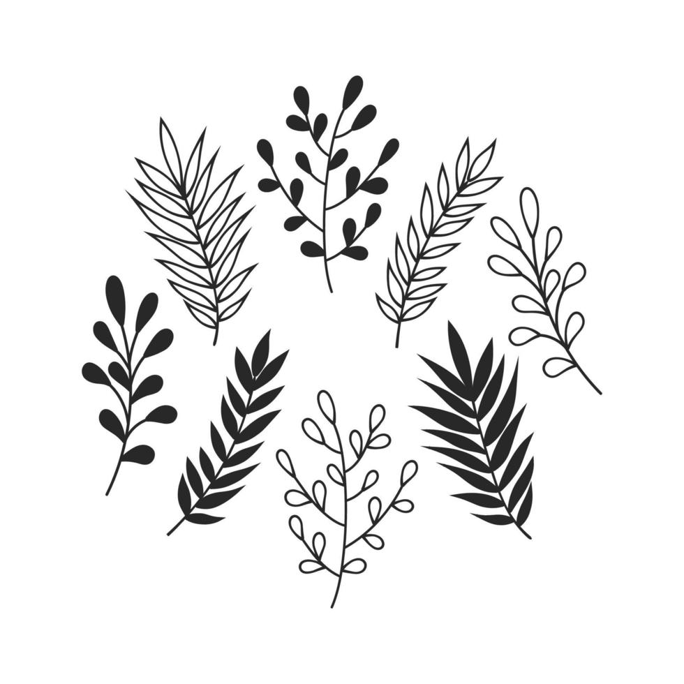 set of elegant hand drawn leaves vector illustration