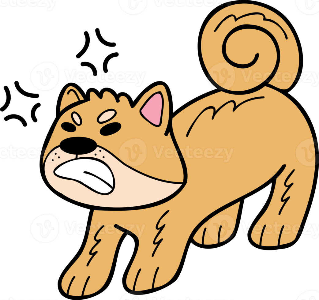 Hand Drawn angry Shiba Inu Dog illustration in doodle style png