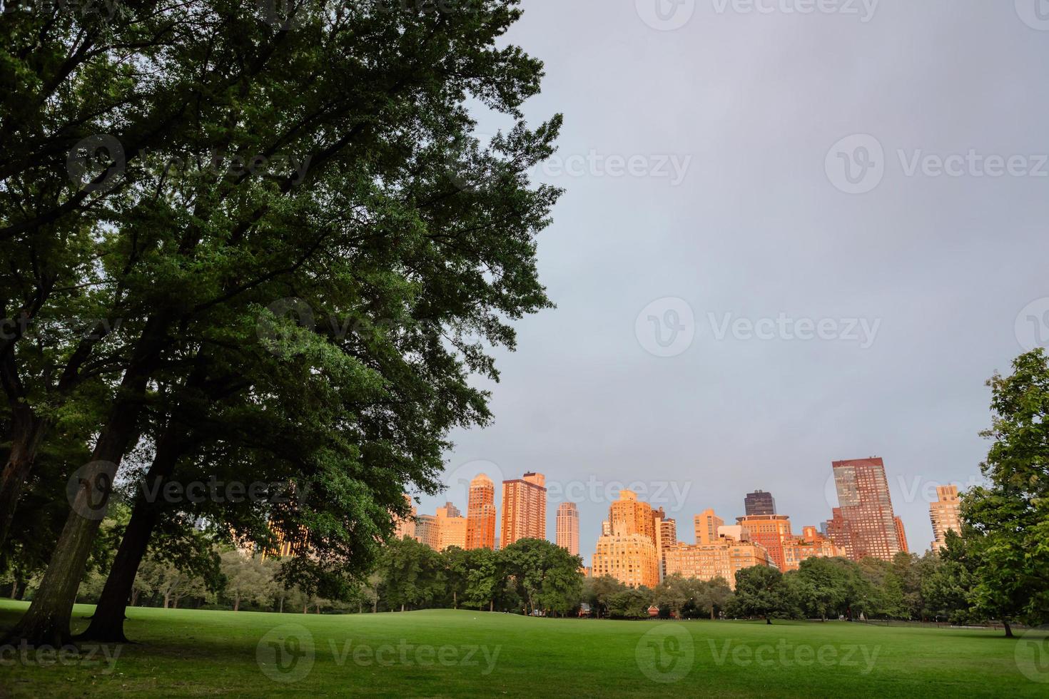 New York City Central Park photo