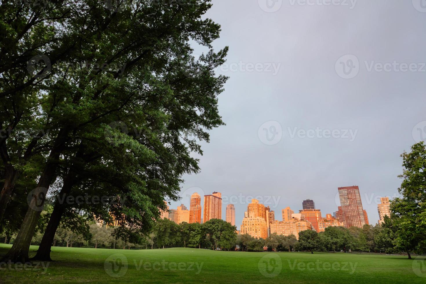 parque central de la ciudad de nueva york foto