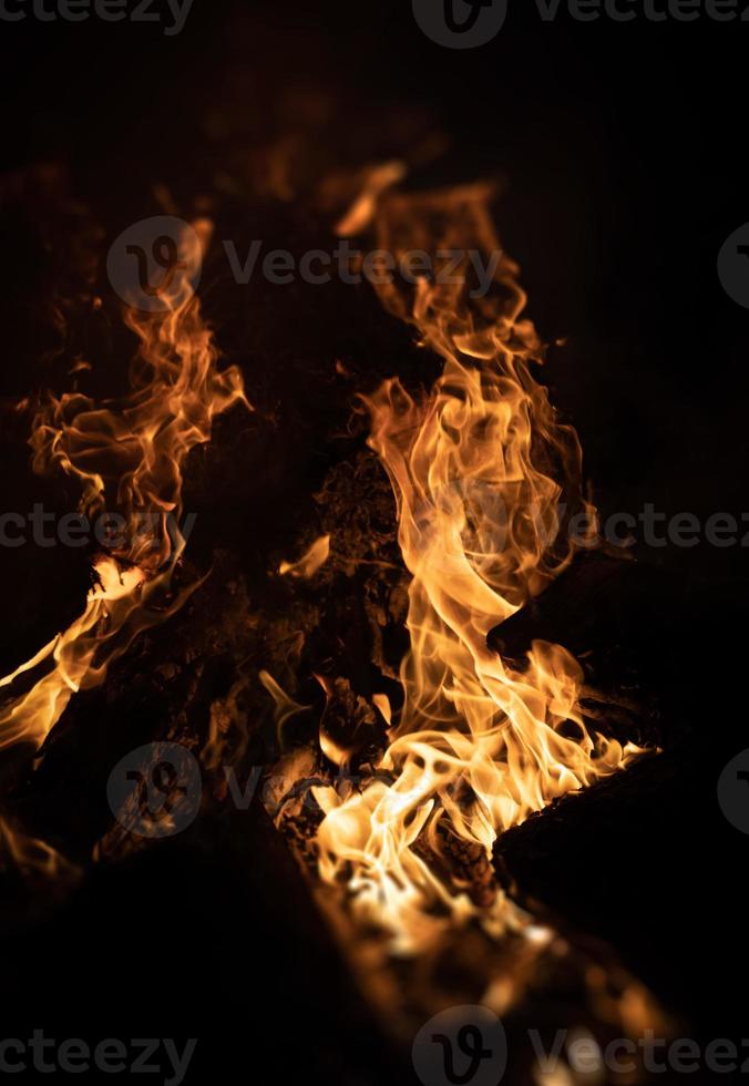 Fire flames on a black background photo