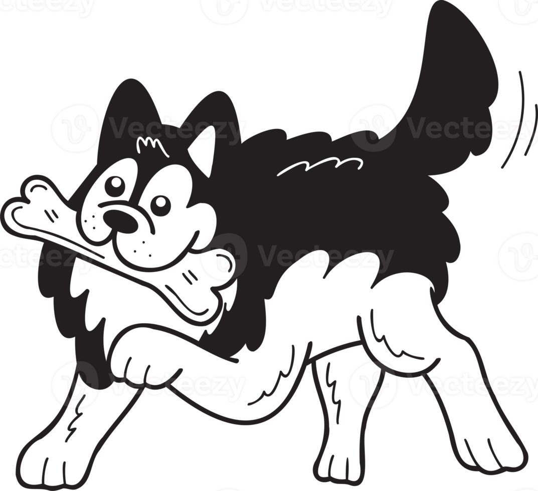 Hand Drawn husky Dog holding the bone illustration in doodle style png