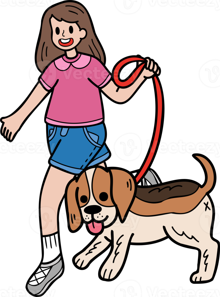 Hand Drawn Beagle Dog walking with owner illustration in doodle style png