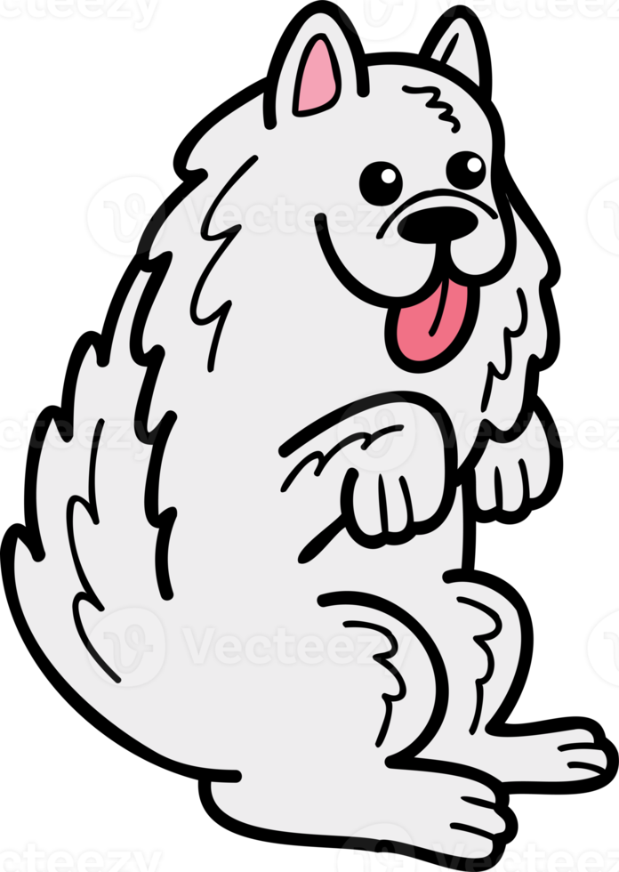 mano disegnato Samoiedo cane accattonaggio proprietario illustrazione nel scarabocchio stile png