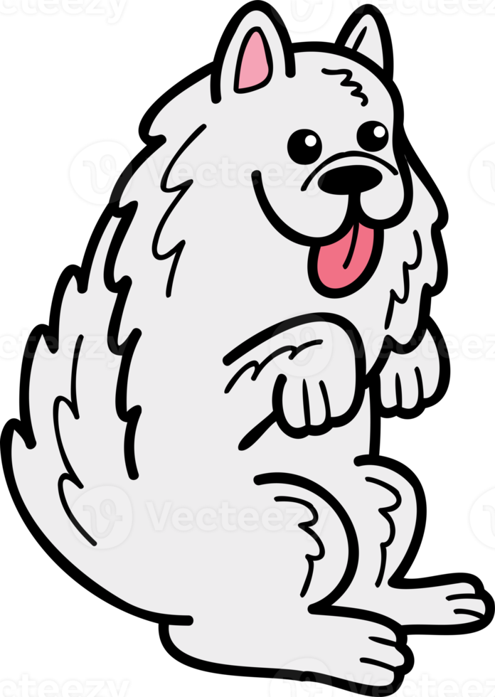 Hand Drawn Samoyed Dog begging owner illustration in doodle style png