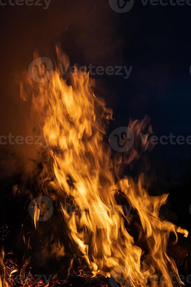 Fire flames on a black background photo