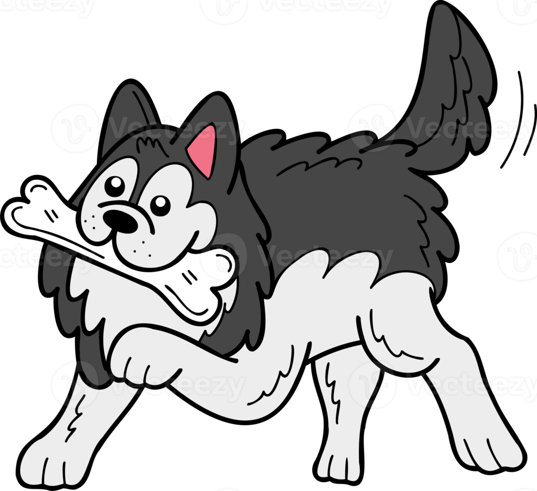 Hand Drawn husky Dog holding the bone illustration in doodle style png