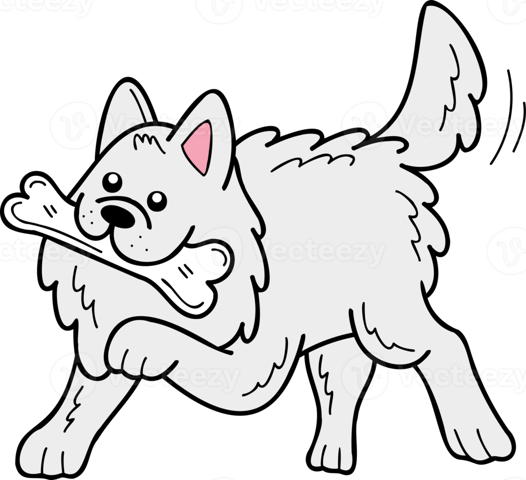 Hand Drawn Samoyed Dog holding the bone illustration in doodle style png