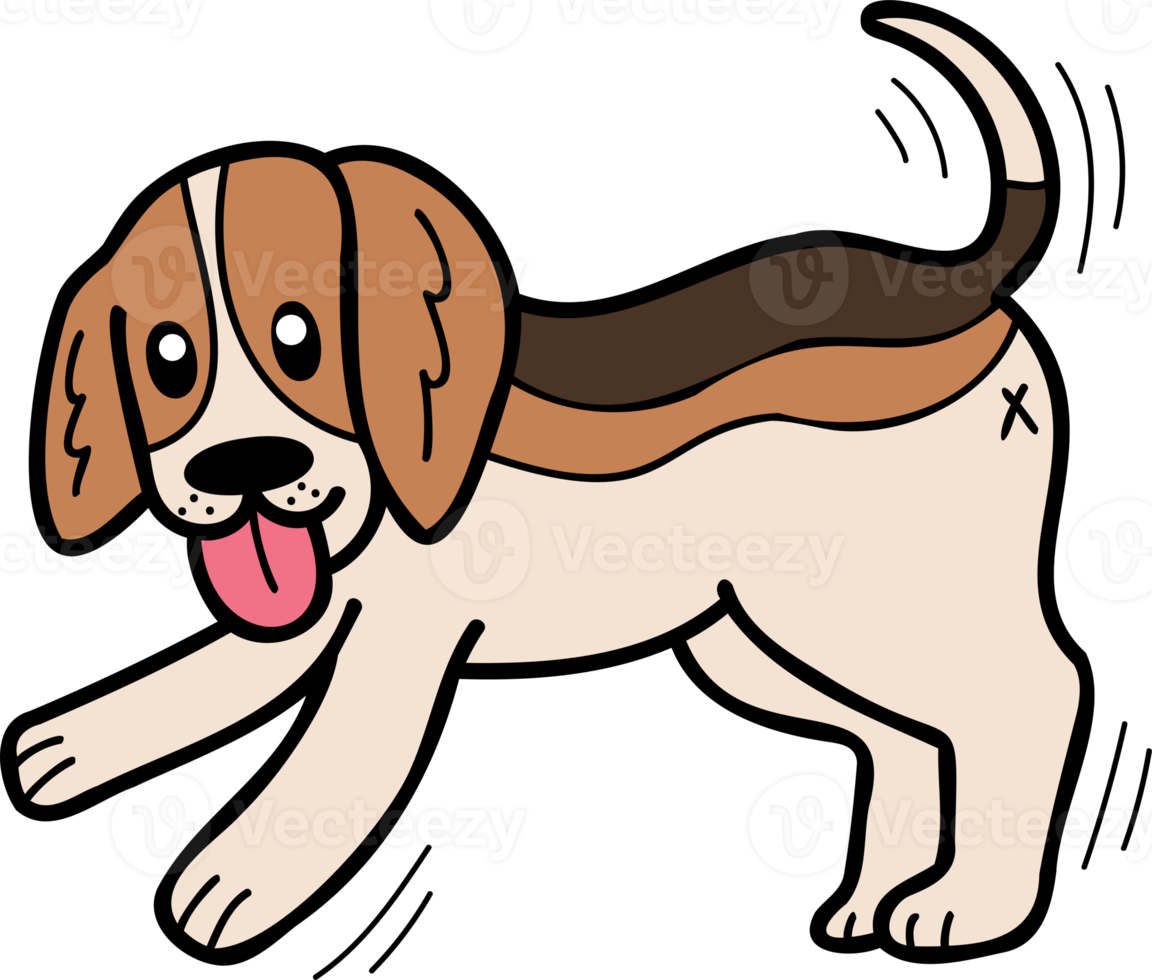 Hand Drawn Beagle Dog walking illustration in doodle style png