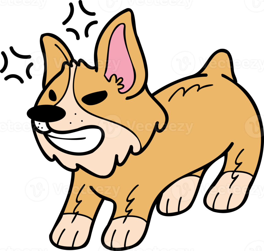 illustration de chien corgi en colère dessiné à la main dans un style doodle png