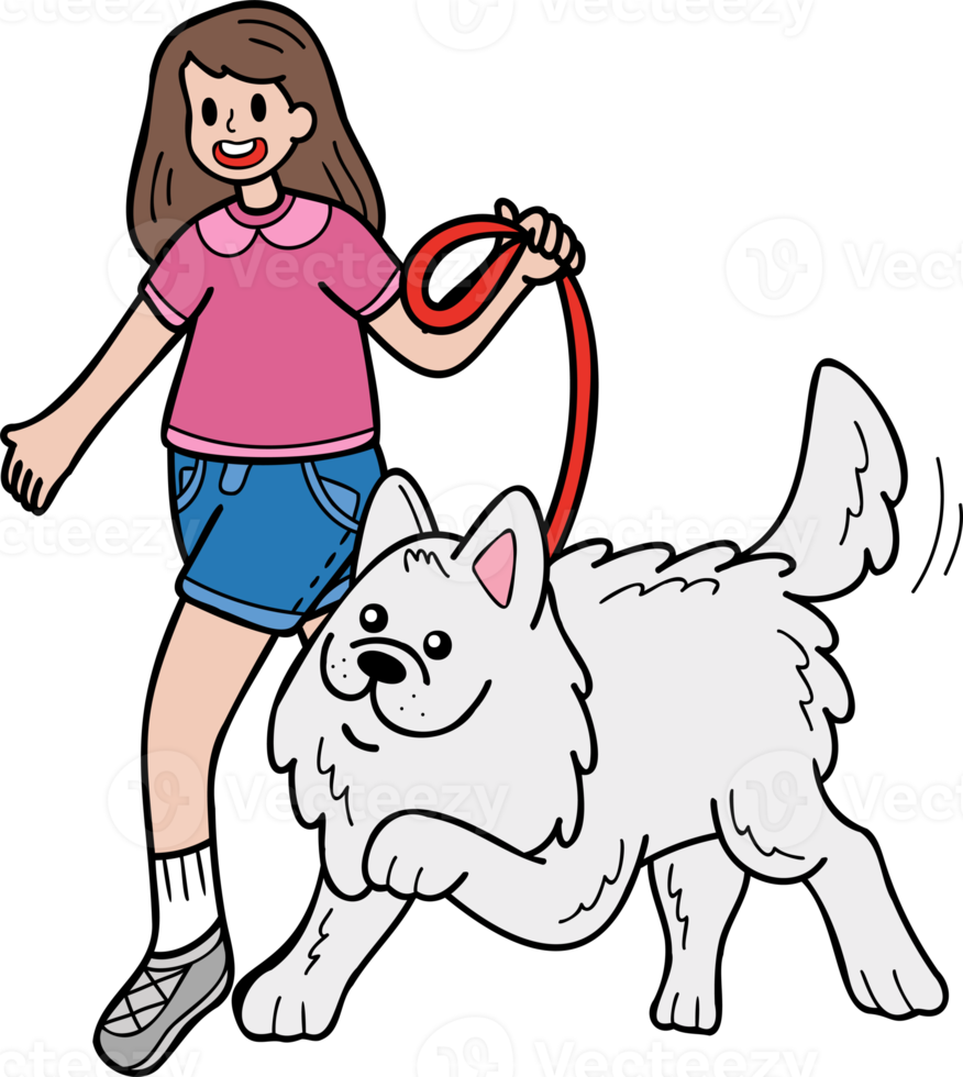 Hand Drawn Samoyed Dog walking with owner illustration in doodle style png