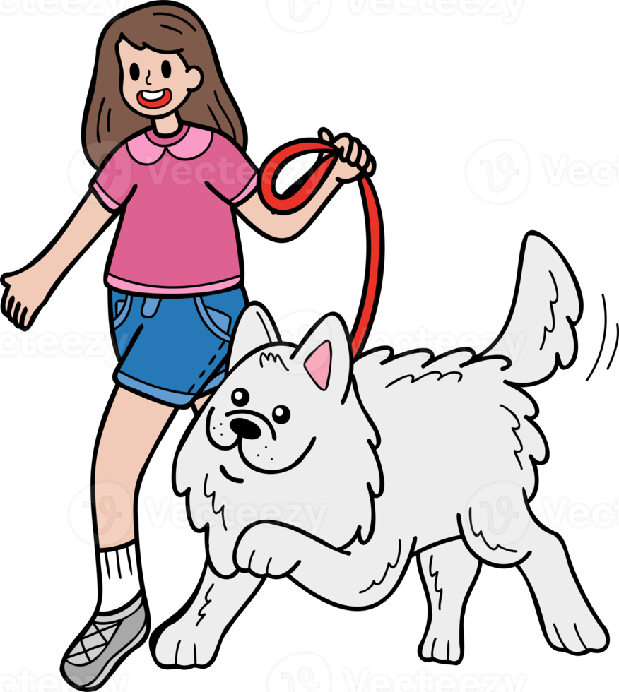 hand- getrokken samojeed hond wandelen met eigenaar illustratie in tekening stijl png