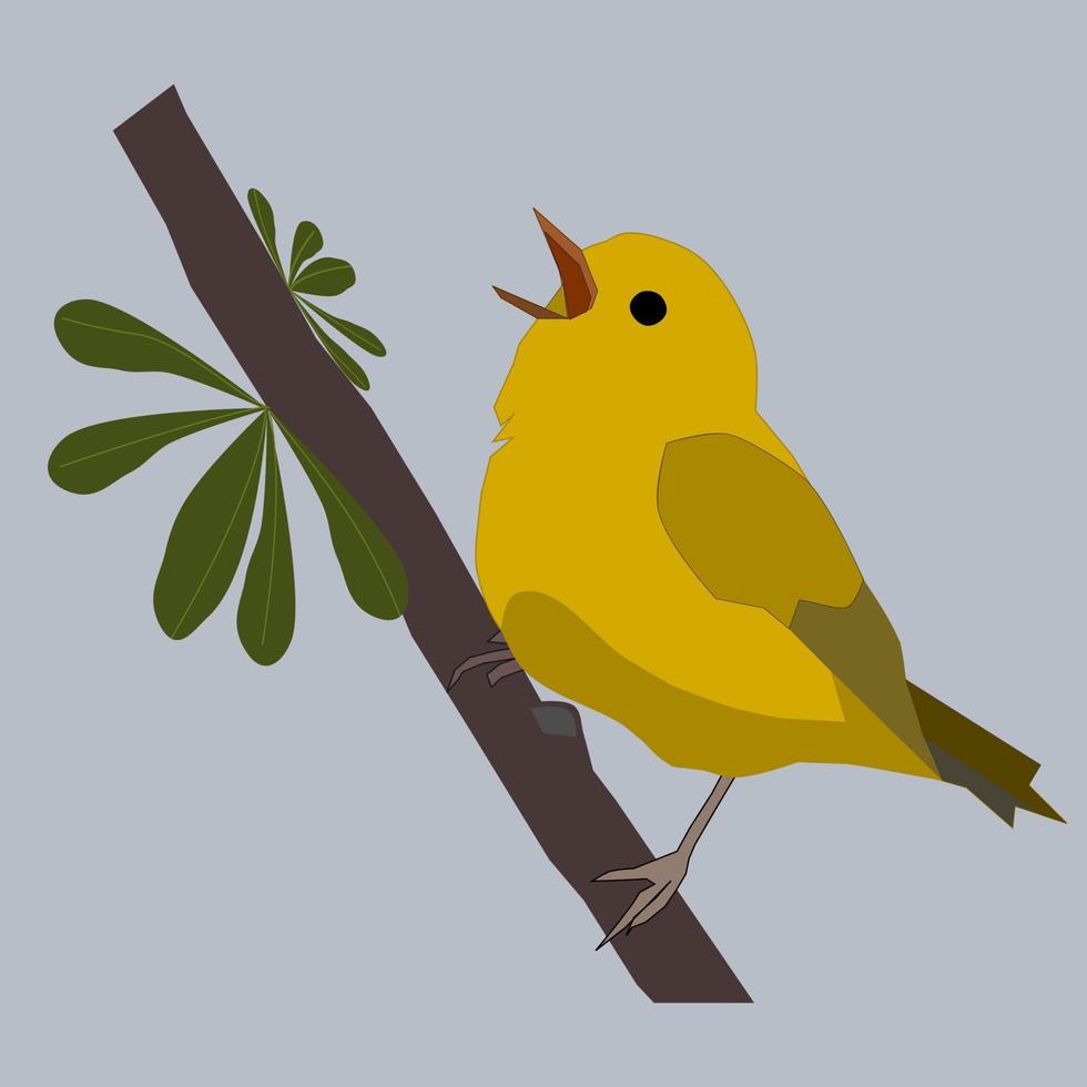 yellow black bird on branch tree vector