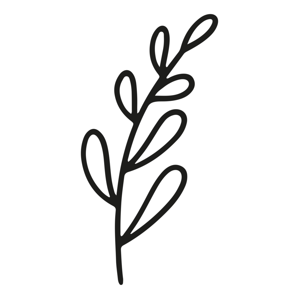 Abstract floral element shape on Transparent Background png