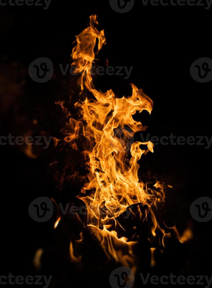 Fire flames on a black background photo